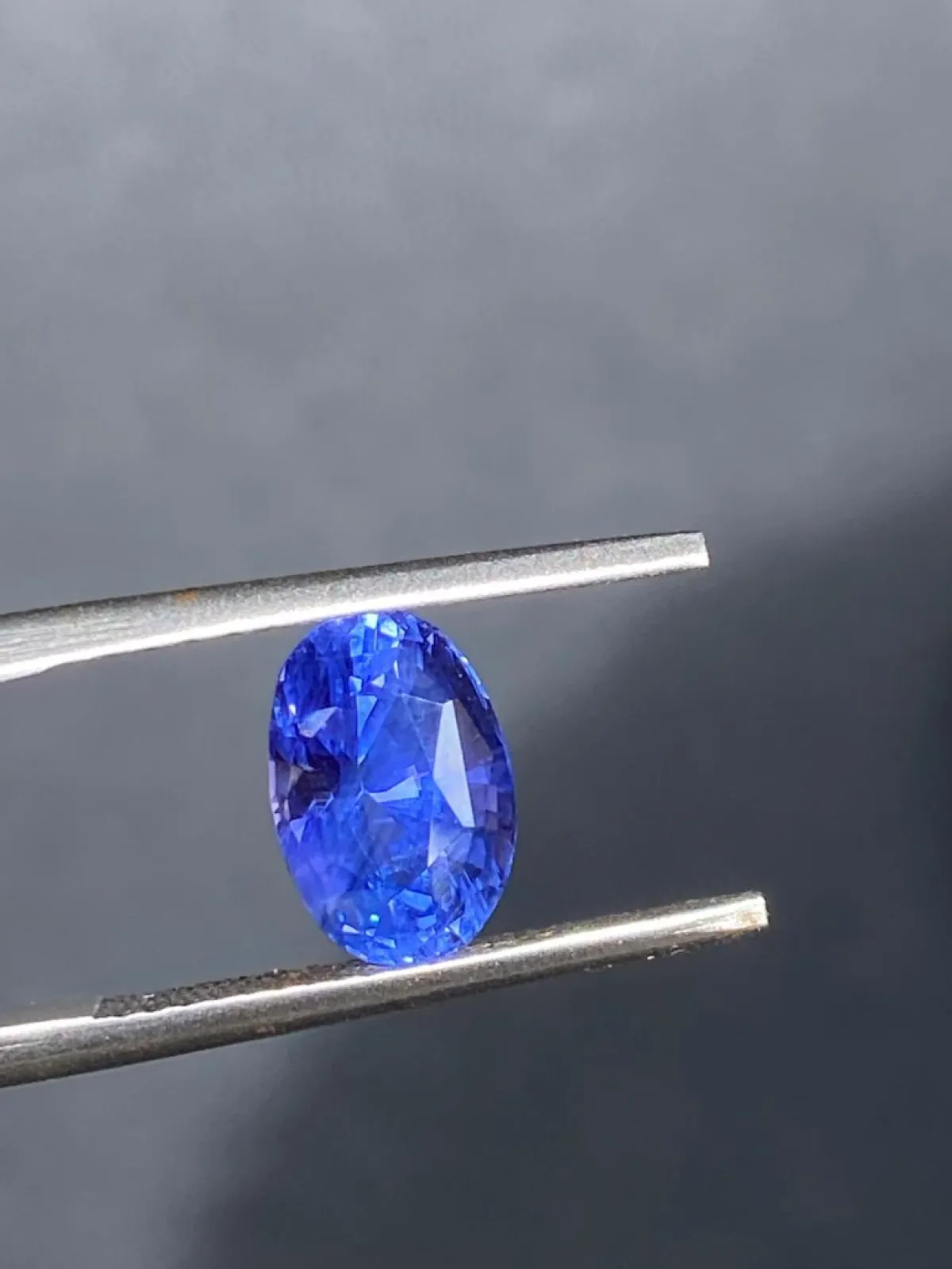 Blue sapphire | cornflower blue