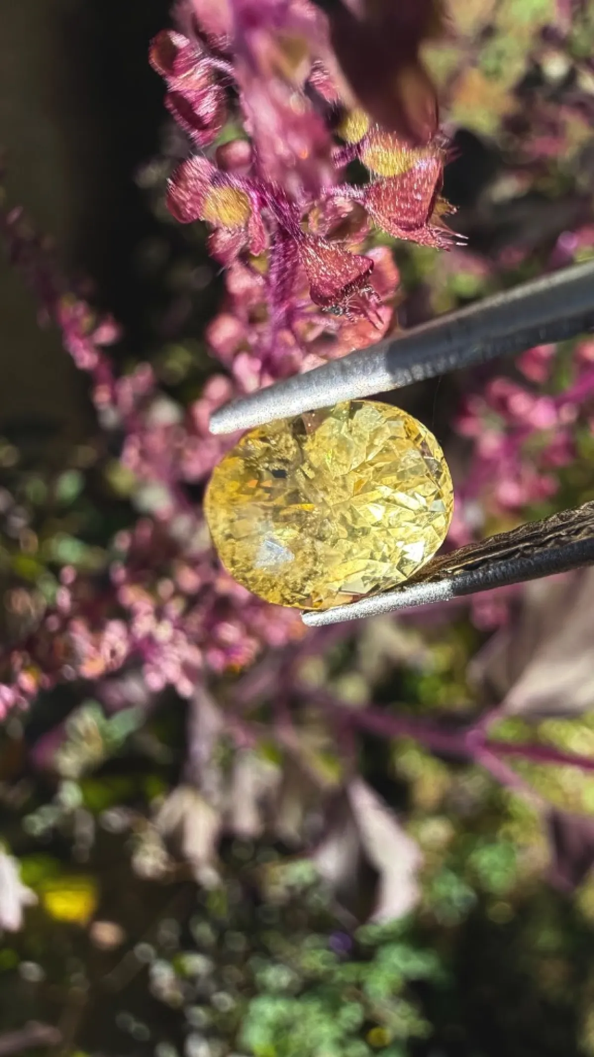 Yellow Sapphire