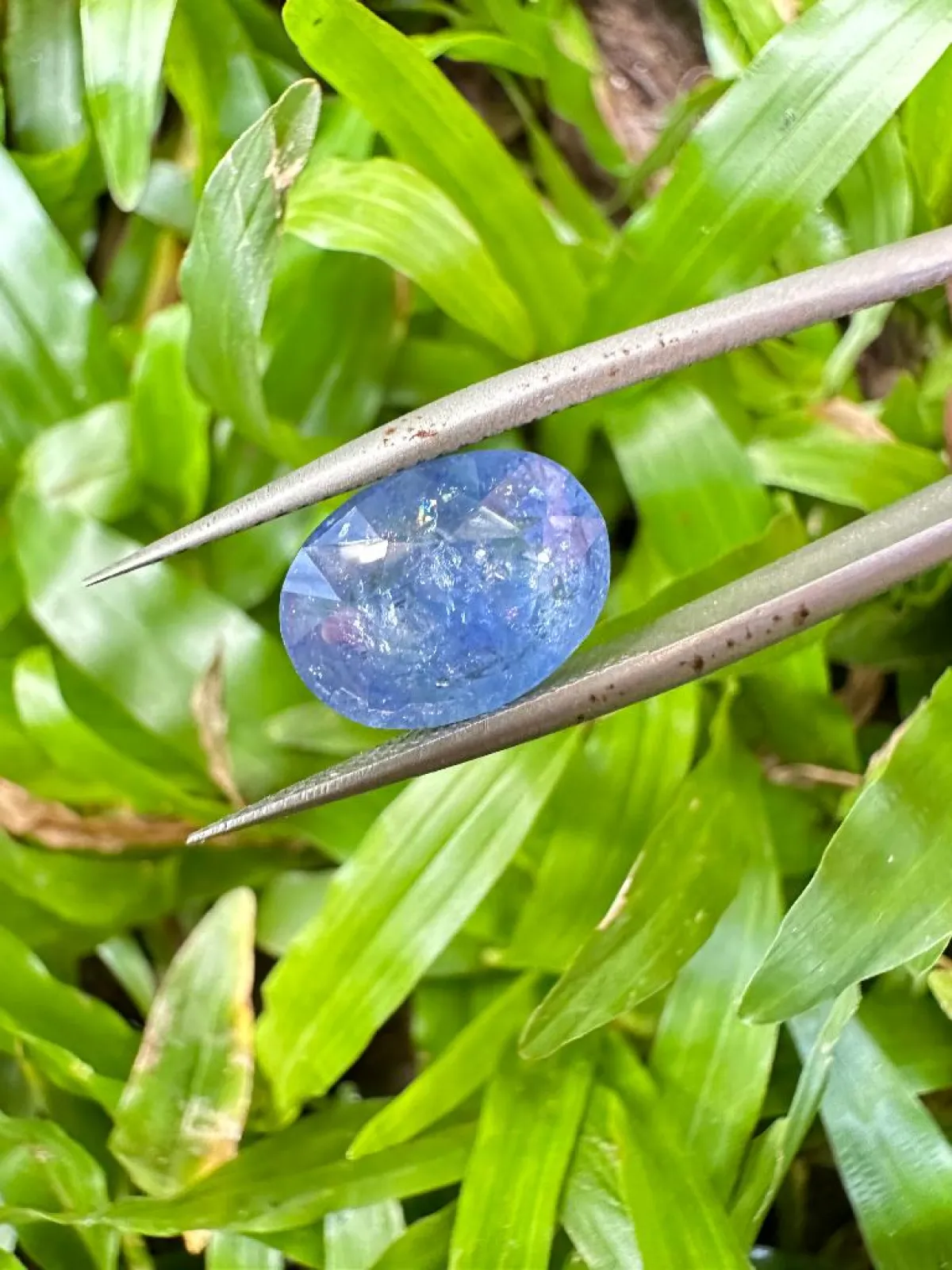 Natural Blue Sapphire