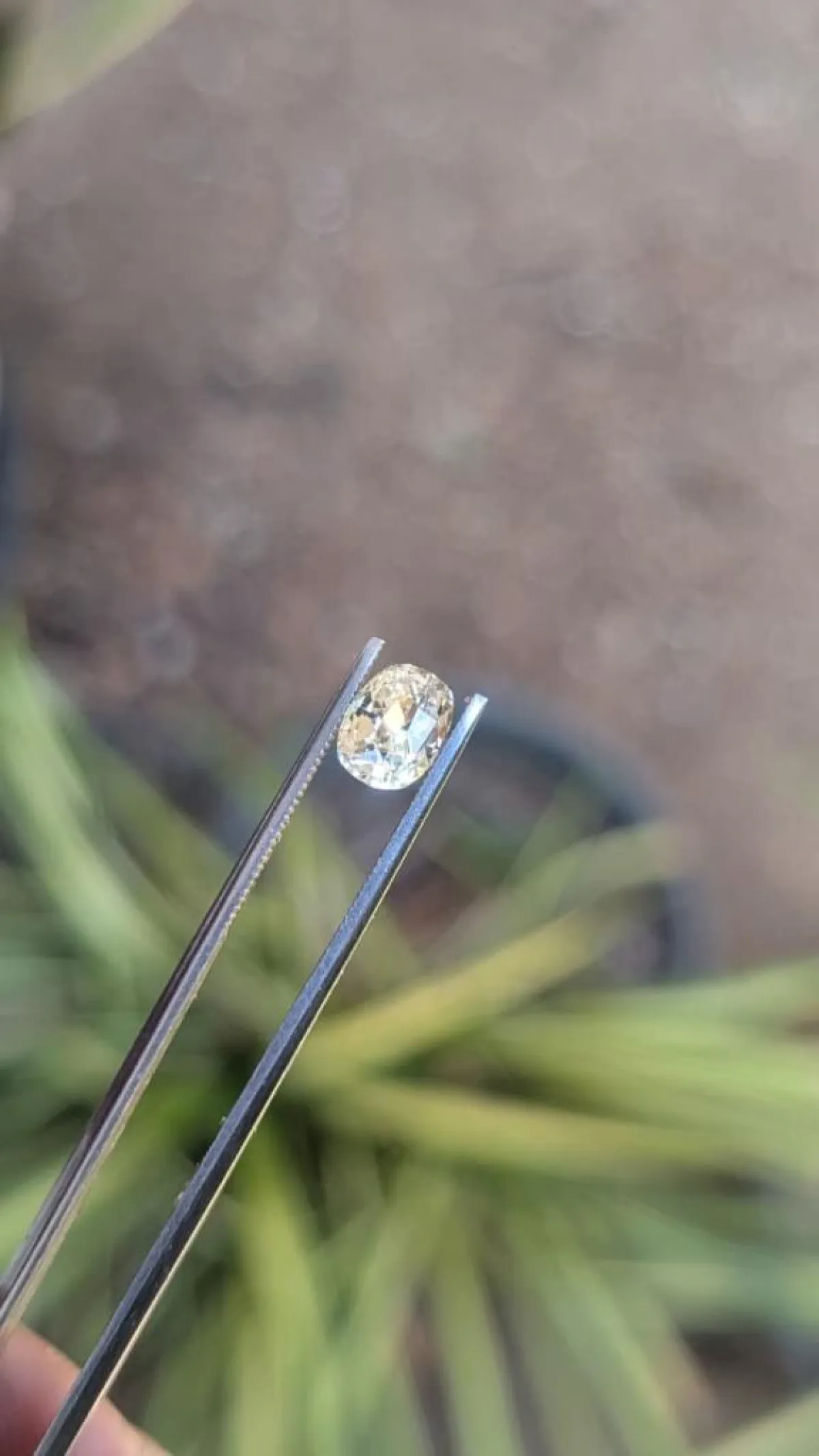 Unheated Yellow Sapphire