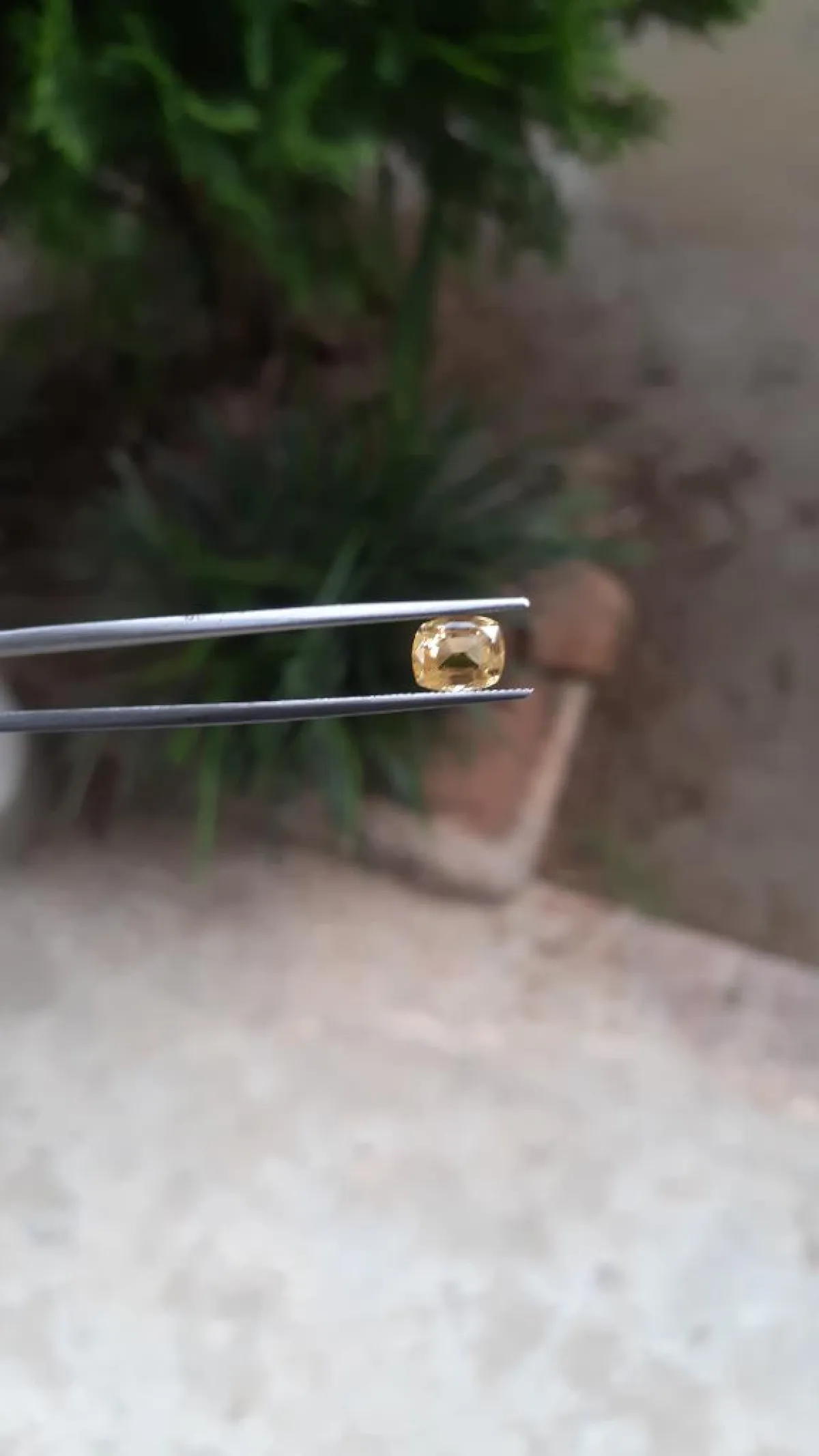 Golden yellow sapphire