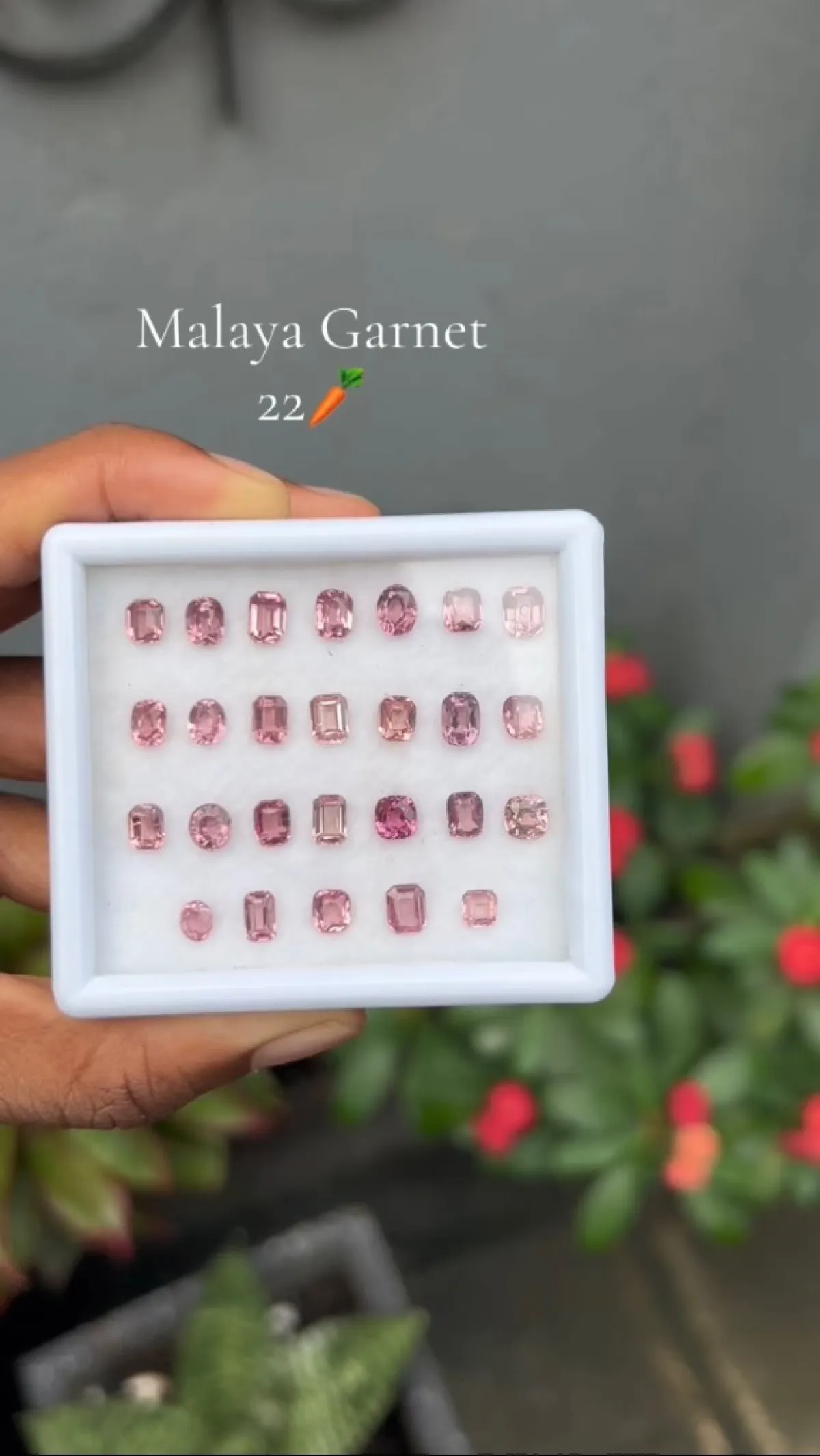 Malaya Garnet